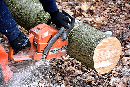 person cutting log thumbnail