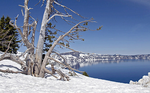 Winter Scenery at Crater Lake National Park, Oregon thumbnail