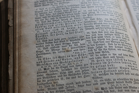white book page thumbnail