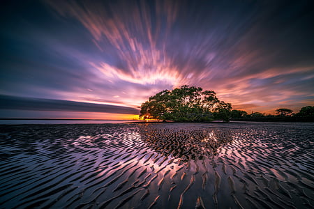 low light photo of trees near body of water thumbnail