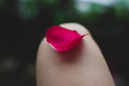 nature, red, blur, colors thumbnail