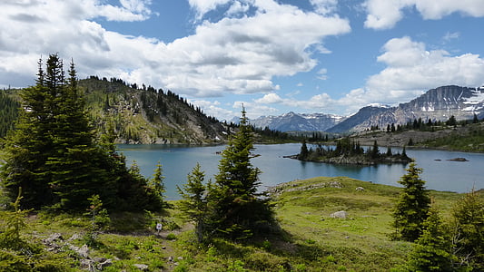 trees and lake during daytime thumbnail