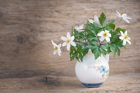 white petaled flowers in white flower vase thumbnail