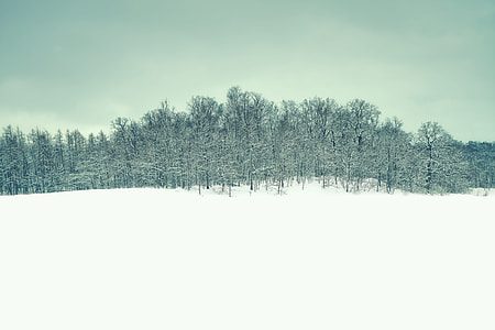 photo of snowfield during daytime thumbnail