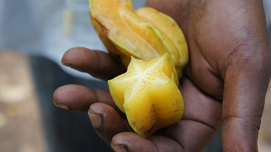 yellow star fruit thumbnail