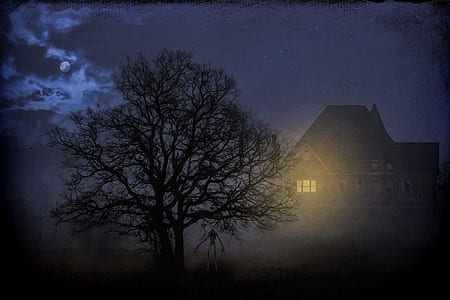 leafless tree during nighttime thumbnail