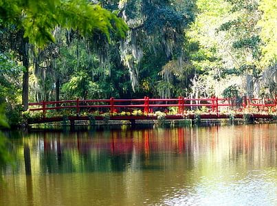 wooden walk bridge under of body of water thumbnail