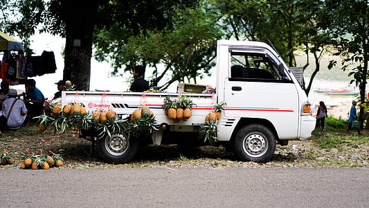 pineapple fruits on white and red truck near tree at daytime thumbnail