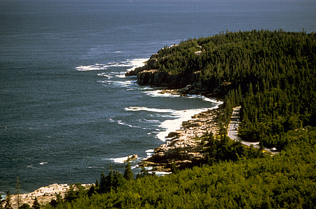 Shoreline Landscape at Acadia National Park, Maine thumbnail