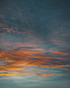 birds flying against orange clouds thumbnail