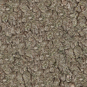 texture, seamless, tileable, pine, bark, nature thumbnail