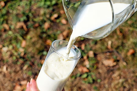 clear glass pitcher pouring white liquid to clear drinking glass thumbnail