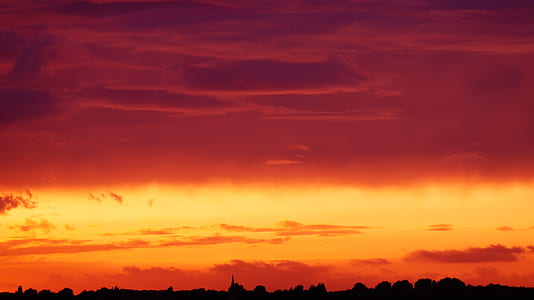 Silhouette of Trees Under Orange and Red Sky thumbnail