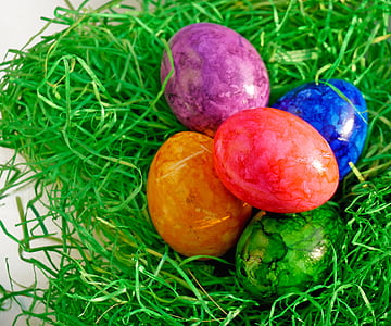 Easter eggs on top of green nest thumbnail
