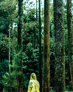 person in woods thumbnail