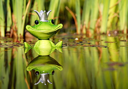 green frog on body of water thumbnail