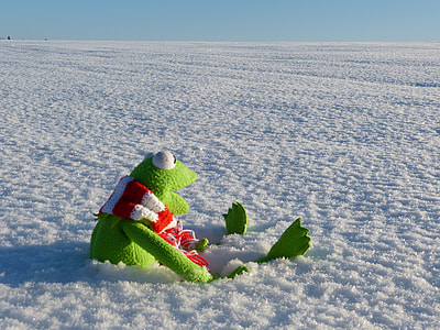 Kermit The Frog plush toy on snow field thumbnail