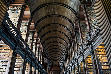 library thumbnail