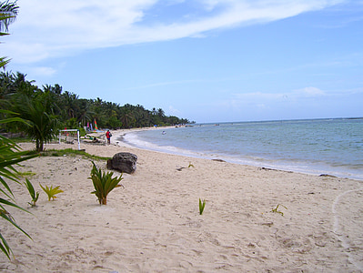 person walking near beach thumbnail