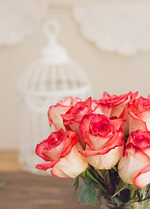 white-and-red petaled flowers on glass vase thumbnail