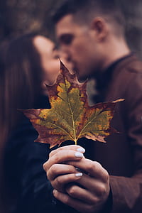 man and woman kissing each other while holding leaf thumbnail