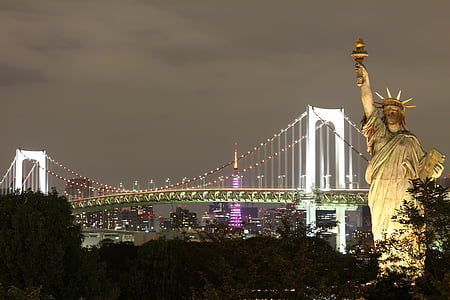 Statue of Liberty during night time thumbnail