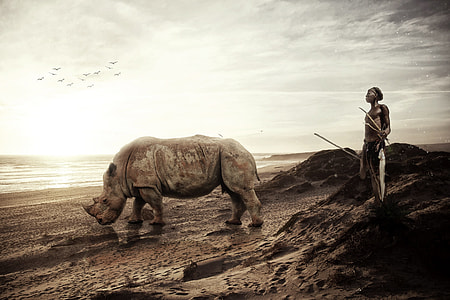grey rhino near man in white bottoms holding sticks thumbnail