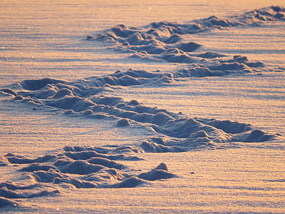sand trails thumbnail