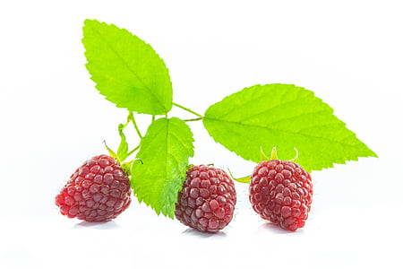 red raspberry fruits thumbnail