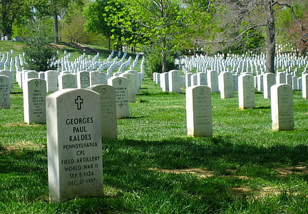 cemetary during daytime thumbnail
