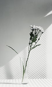 white flowers in vase thumbnail