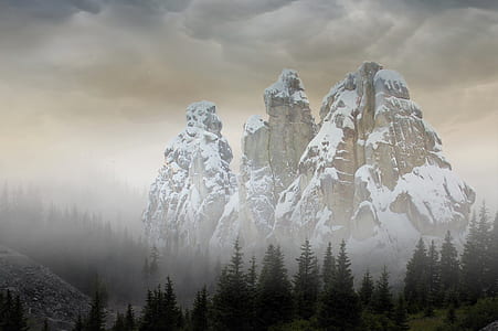 photo of glacier mountain and green pine trees thumbnail