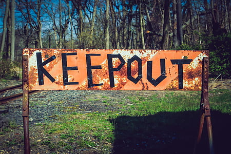keep out signage placed near forest thumbnail