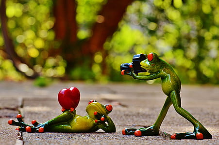 selective focus of two frog figurines formed with photography session thumbnail