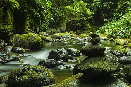 rocks with moss beside body of water near trees thumbnail