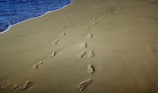 beach, sand, foorprints, sea thumbnail