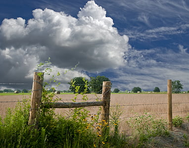 nimbus cloud over grass field thumbnail