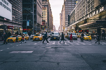 people crossing using pedestrian lane thumbnail