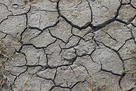 close up photography of crack soil thumbnail