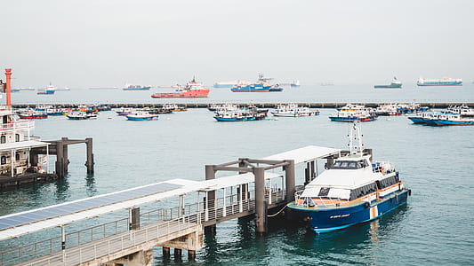 white and blue cruise ship beside brown body of water dock thumbnail