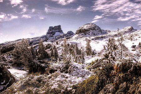 white and black mountain beside pine trees thumbnail