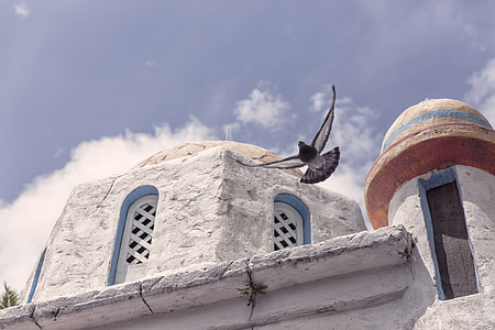 flying bird over dome thumbnail