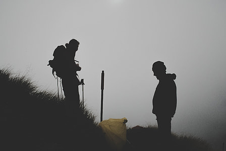 two person on grass field during fog thumbnail