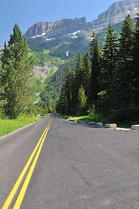 Photo of a Road Surrounded by Trees thumbnail