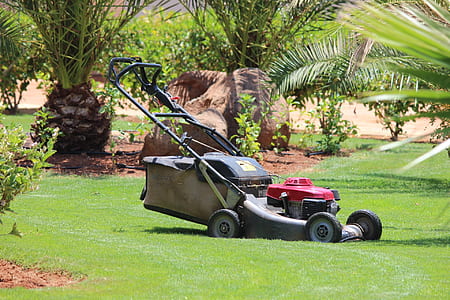 gray push mower on green lawn grass thumbnail