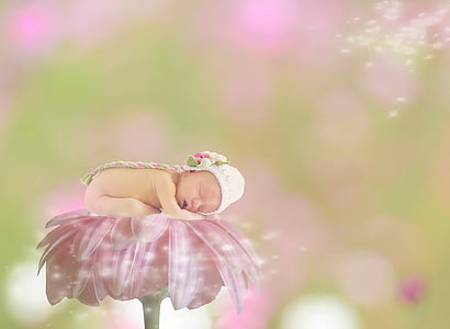 pink daisy flower with baby on top edited photo thumbnail