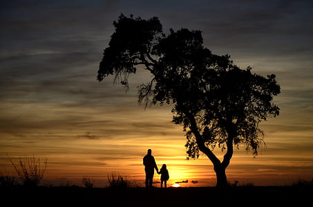 silhouette of two person near tree thumbnail