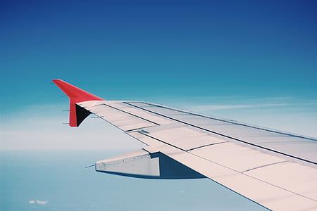 grey and white left airplane wing thumbnail