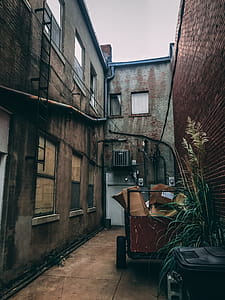 Brown Cart in Alley thumbnail