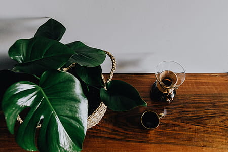 Chemex Coffee Maker with Gold Cup thumbnail